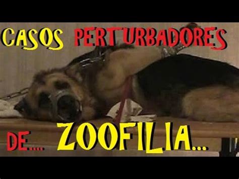 relatos zoofili